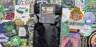 Découverte de The High Chameleon