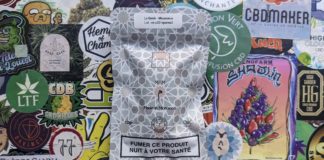 Découverte de Morocco CBD