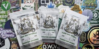 Découverte de Breizh Marie Jeanne !