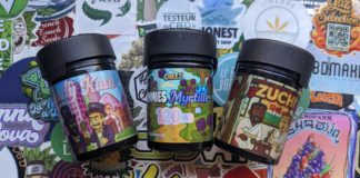 Découverte de Cheez Extracts