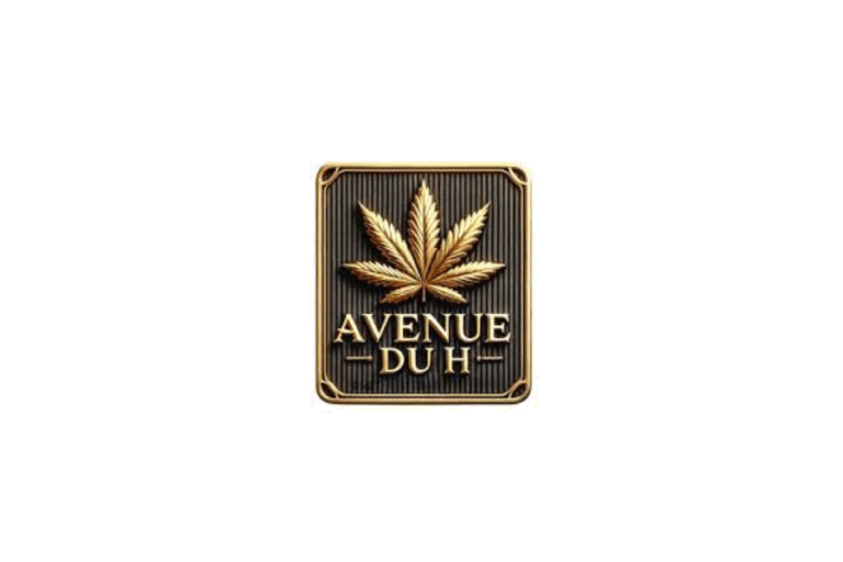 Avenue du H – Fiche Technique et Avis