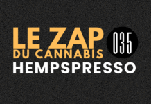 Hempspresso 035 | Le Zap du Canna