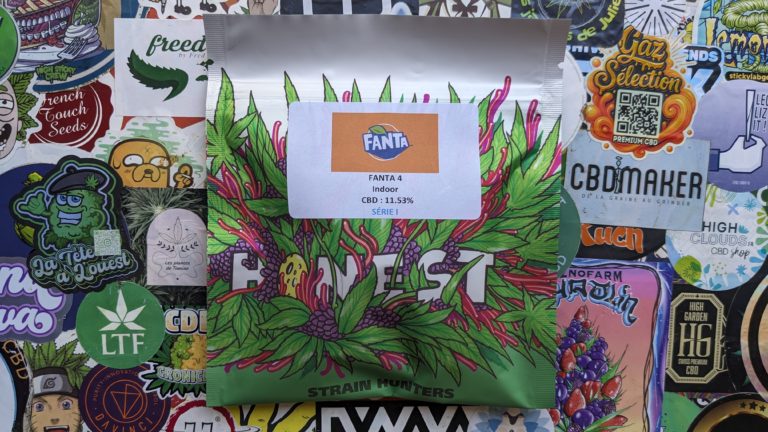 Fanta 4, podium Cannaswisscup 2025 !