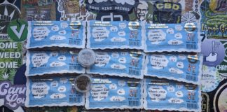 Découverte des hash en Sweet Curing (Sweet CBD France)