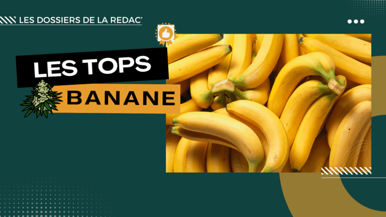 Les meilleures banana CBD