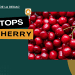 Les meilleures cherry CBD