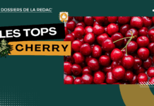 Les meilleures cherry CBD