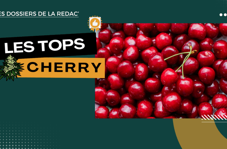 Les meilleures cherry CBD