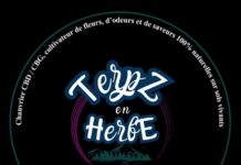 COUPON TERPZ EN HERBE