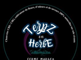 COUPON TERPZ EN HERBE