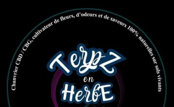 COUPON TERPZ EN HERBE