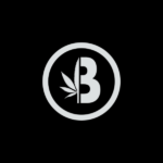 Brume – Fiche Technique et Avis