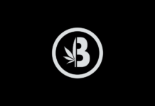 Brume – Fiche Technique et Avis