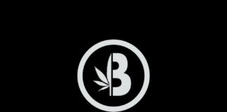 Brume – Fiche Technique et Avis