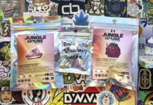 Rosin et fleurs ! (Jungle House)