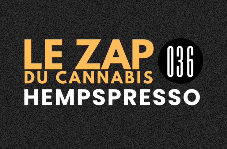 Hempspresso 036 | Le Zap du Canna
