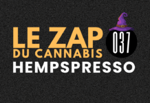 Hempspresso 037 | Le Zap du Canna