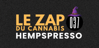 Hempspresso 037 | Le Zap du Canna