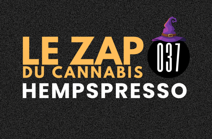 Hempspresso 037 | Le Zap du Canna