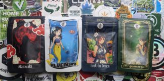 Découverte de la Dame de Caro !