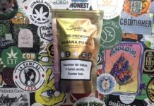 La Banana Punch de Swiss Botanic !