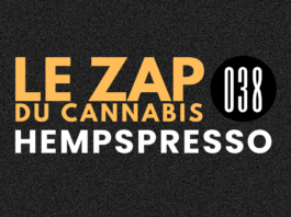 Hempspresso 038 | Le Zap du Canna
