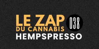 Hempspresso 038 | Le Zap du Canna