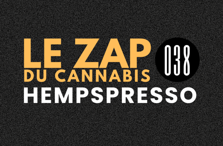 Hempspresso 038 | Le Zap du Canna