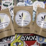 Kanabotania, culture indoor bretonne !