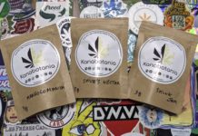 Kanabotania, culture indoor bretonne !