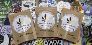 Kanabotania, culture indoor bretonne !