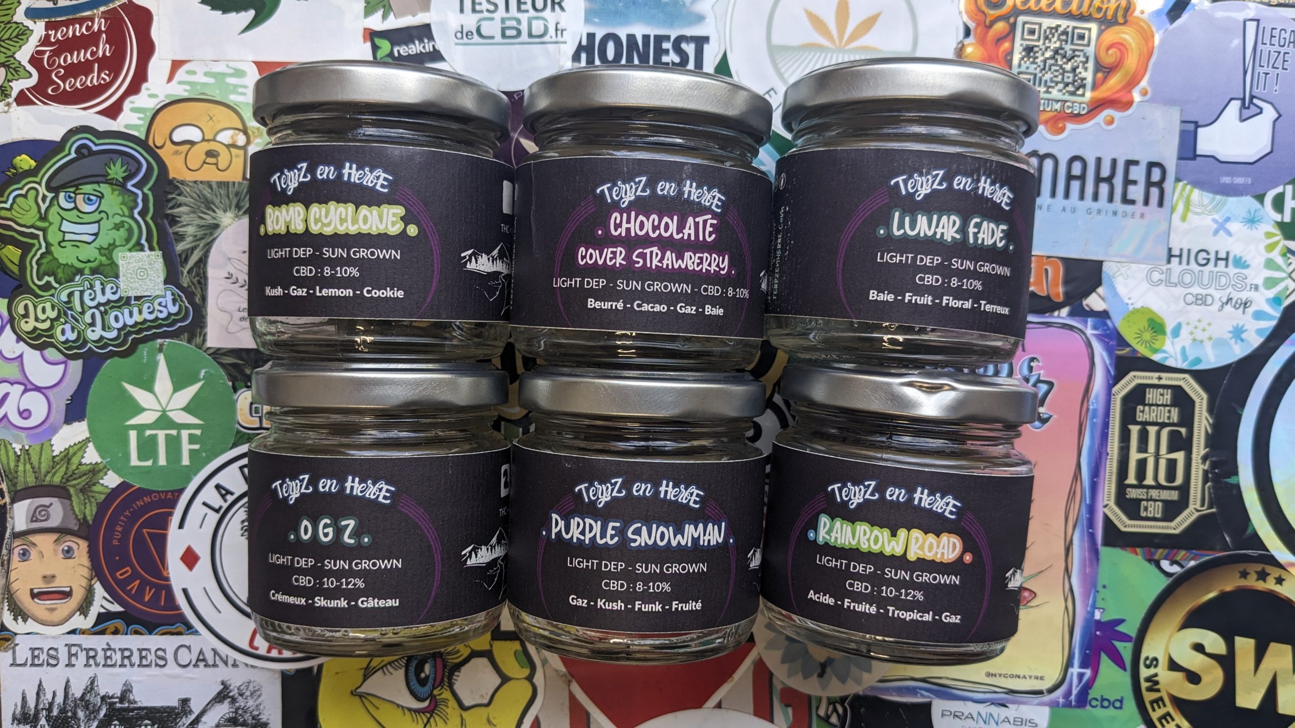 Nouvelles fleurs octobre 2025 - Terpz en Herbe - Testeur de CBD (3)