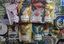 Des exclus chez Poisson Vert !