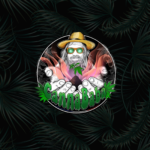 Excellentes fleurs et miel ! (Cannababa)