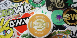 Les CBD Pouches de Canndid