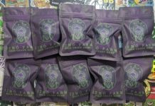 La récolte 2025 de Mister Izno ! (Une partie)