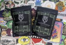 Découverte de Kanafarm !