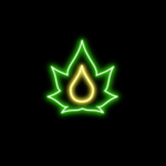 Vapodream – Fiche Technique et Avis