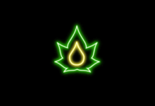 Vapodream – Fiche Technique et Avis