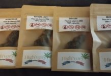 Critique des fleurs de High’Vory !