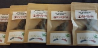 Critique des fleurs de High’Vory !