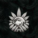 Chanvrer Le Monde, un nouveau producteur français !