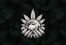 Chanvrer Le Monde, un nouveau producteur français !