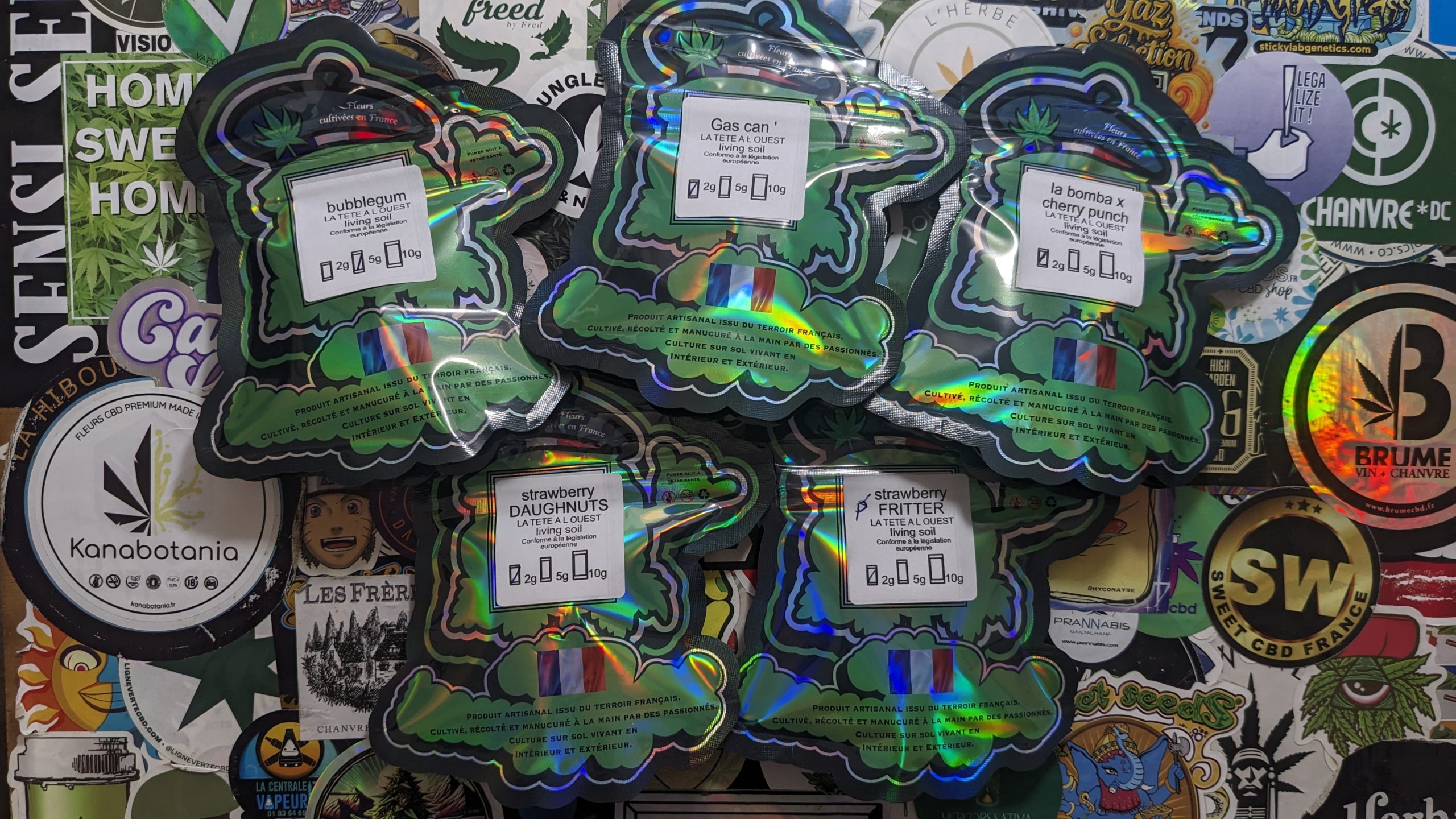 La Tête à l'Ouest - Decouverte - Testeur de CBD (6)