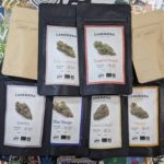 Les nouvelles fleurs de Canebiera !