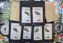 Les nouvelles fleurs de Canebiera !