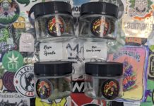 Cannapache, un producteur à suivre de près !