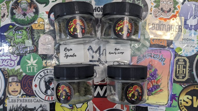 Cannapache, un producteur à suivre de près !