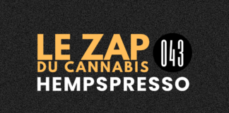 Hempspresso 043 | Le Zap du Canna