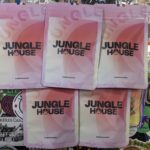 Jungle House, fleurs 2025 !